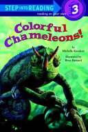 Colorful_Chameleons