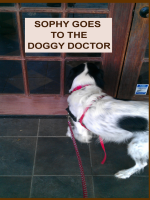 SOPHY_GOES_TO_THE_DOGGY_DOCTOR