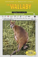 The_wallaby