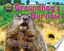 Groundhog_s_burrow