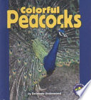 Colorful_Peacocks